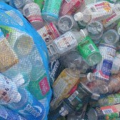 Plastic+Bottles
